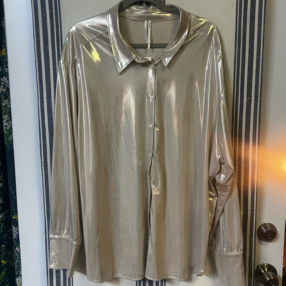 Anthropologie Silver Metallic Blouse Plus Size 2XL NWT